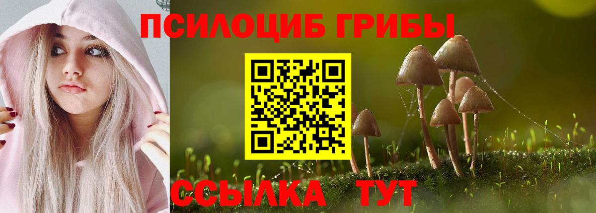 Галлюциногенные грибы Psilocybine cubensis  Галлюциногенные грибы мухоморы  Вход с VPN  Воркута 